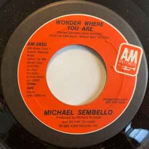 Michael sembello wonder - -,