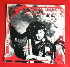 SLEEPING LIONS – A 2815 -