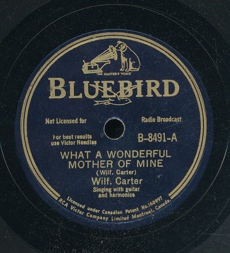 78tk-western-BLUEBIRD-8491-Wil