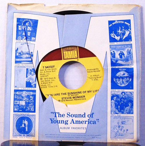 Stevie wonder you - wonder, are